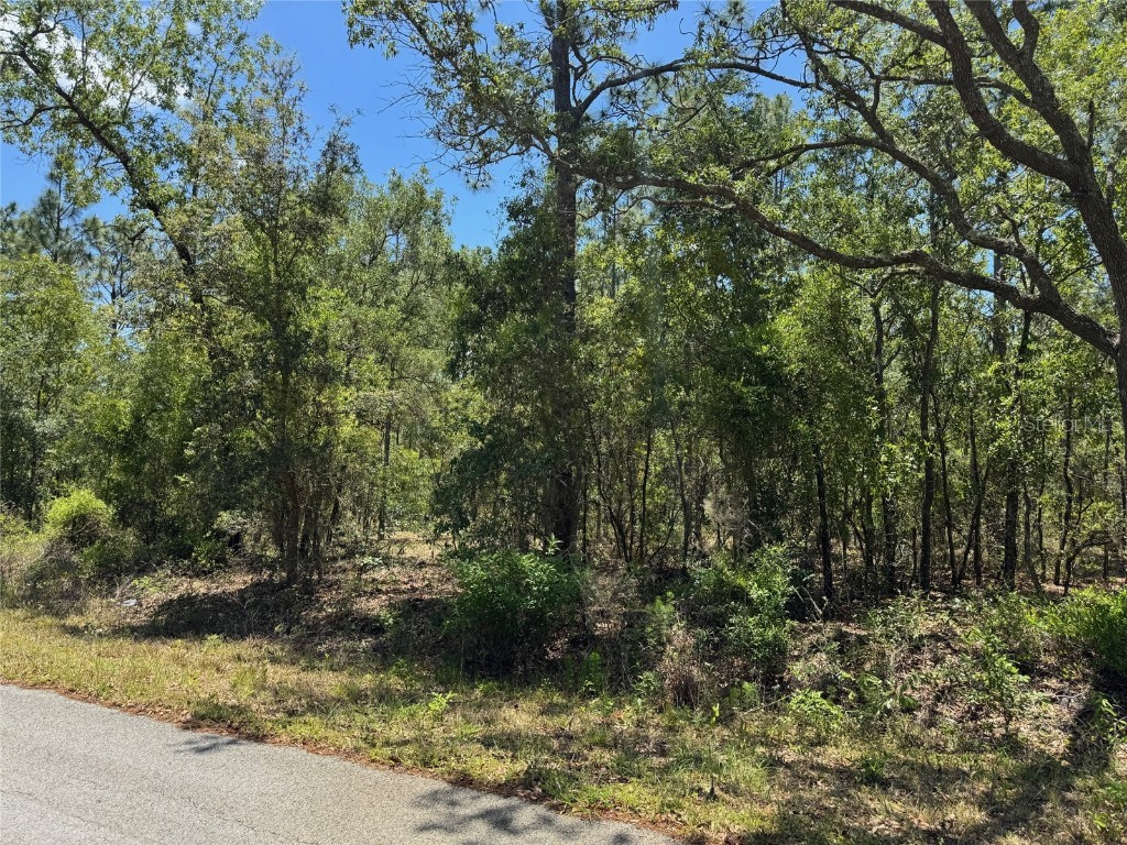 Lot 15 NW Hillsdale Avenue Dunnellon FL 34431 OM700500 image4