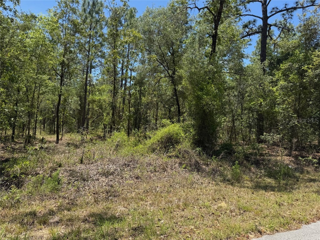 Lot 15 NW Hillsdale Avenue Dunnellon FL 34431 OM700500 image5