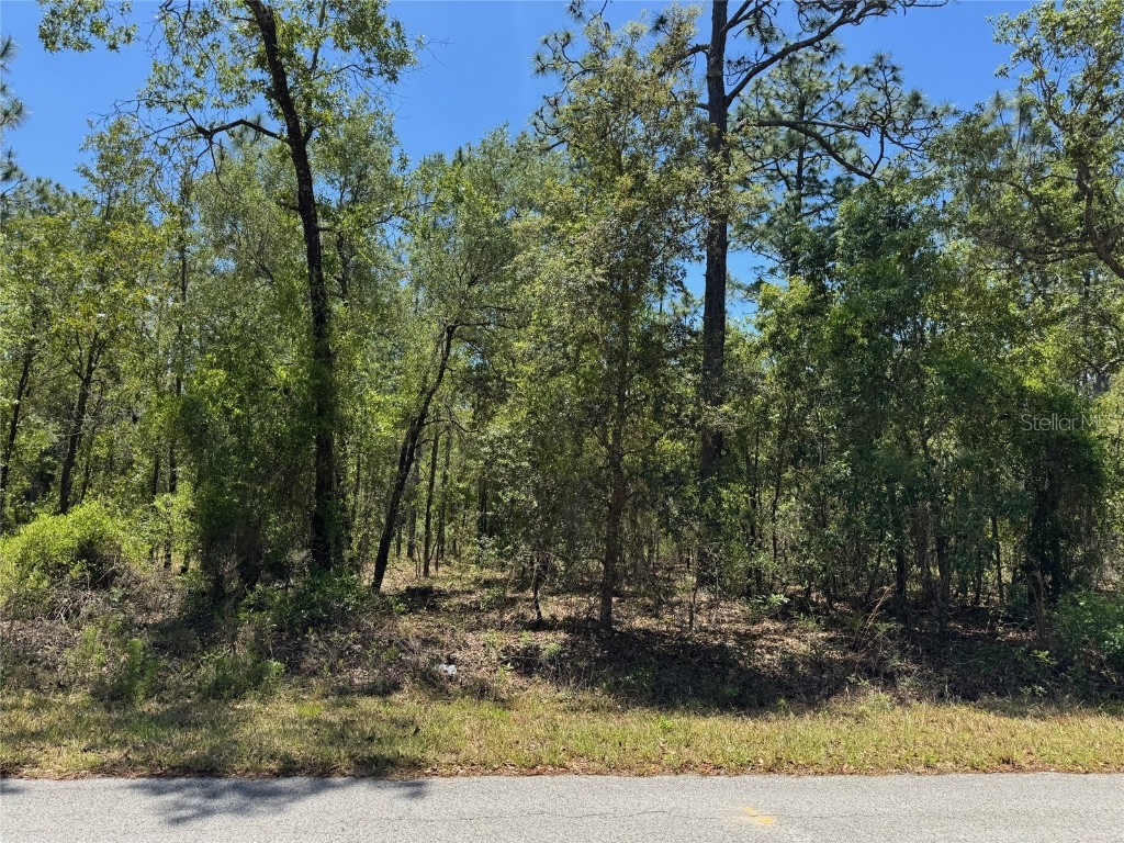 Lot 15 NW Hillsdale Avenue Dunnellon FL 34431 OM700500 image6