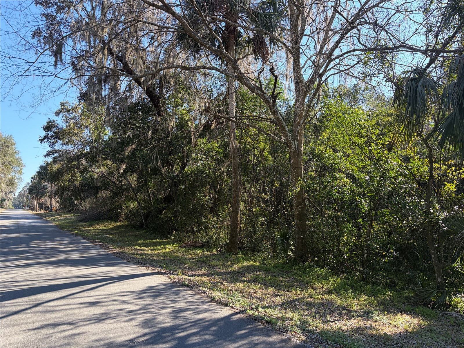 Lot 15 Quebec Avenue De Leon Springs FL 32130 V4947194 image4