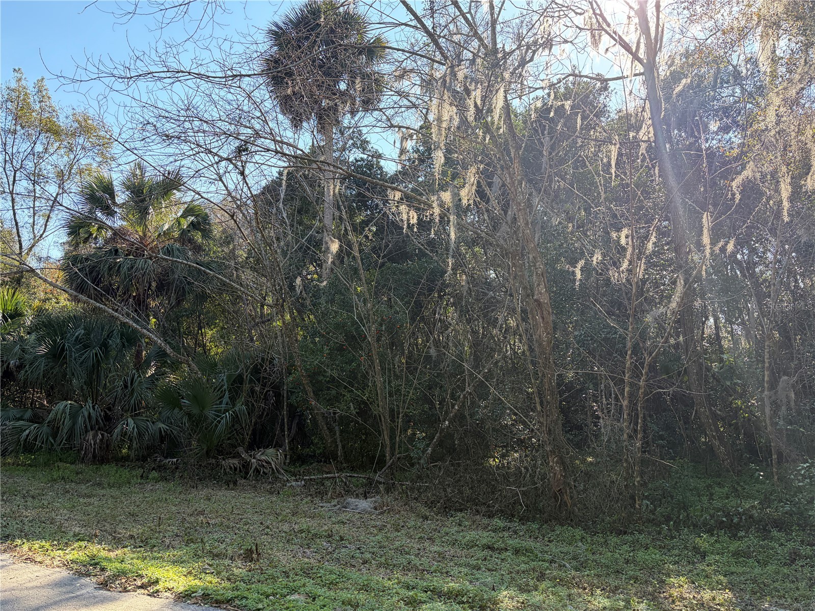 Lot 15 Quebec Avenue De Leon Springs FL 32130 V4947194 image5