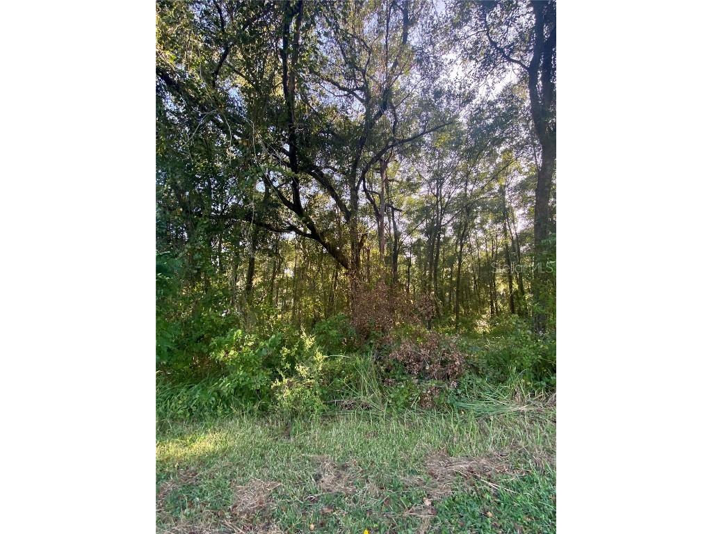 Lot 15 SW 189 Circle Dunnellon FL 34432 - RAINBOW RIVER OM665779 image1