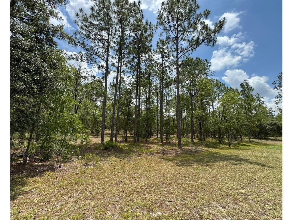Lot 15 SW Neptune Boulevard Dunnellon FL 34431 S5129440 image1