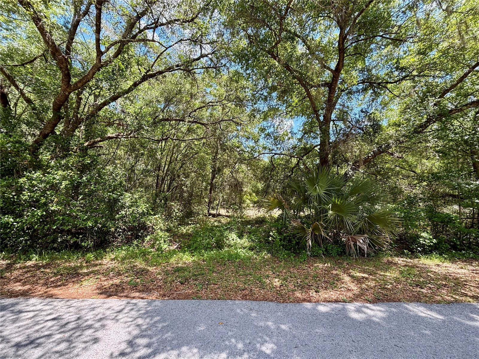 Lot 15 SW Shorewood Drive Dunnellon FL 34431 - TIGER LAKE AND BONABLE LAKE OM724937 image1