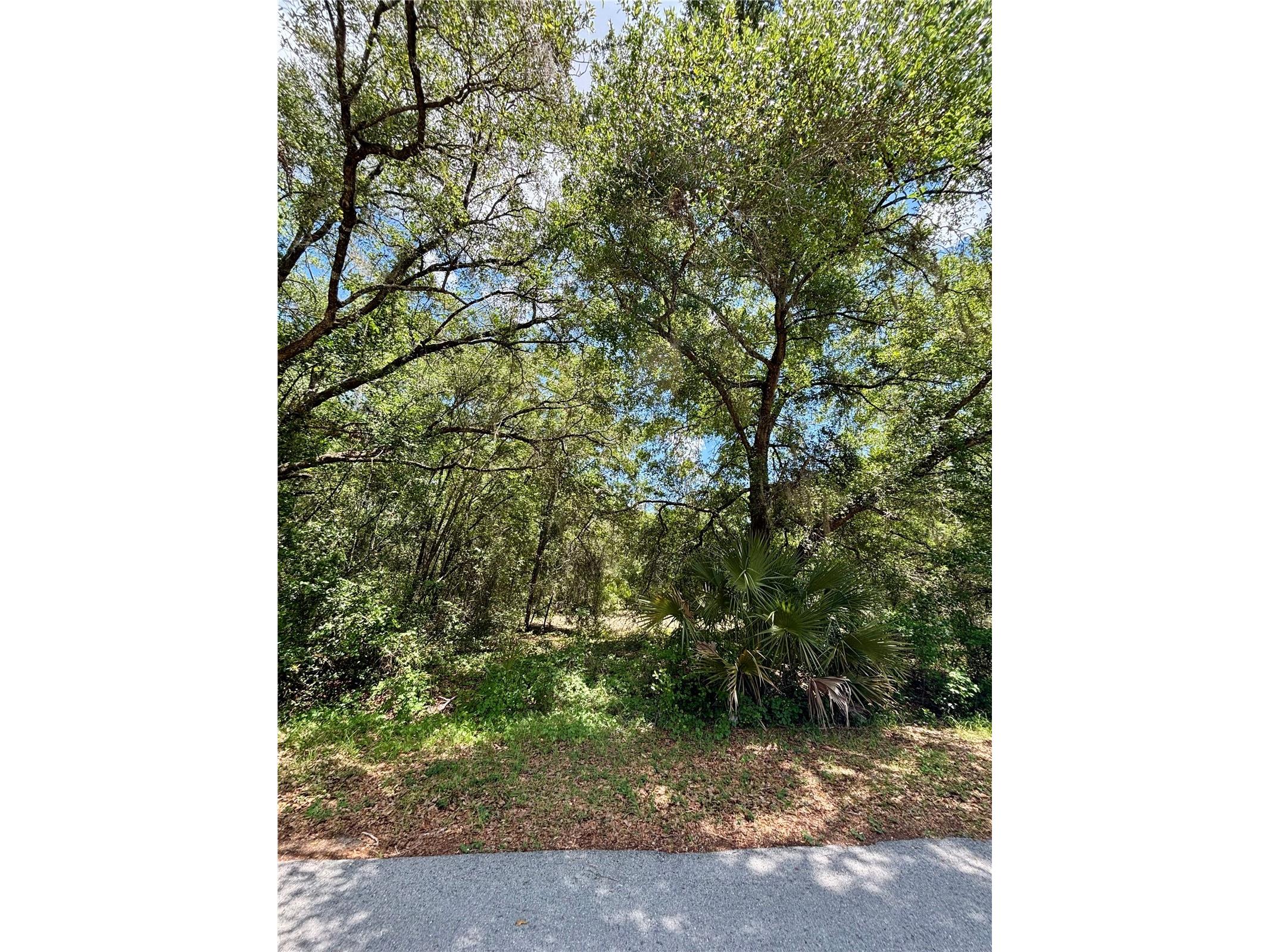 Lot 15 SW Shorewood Drive Dunnellon FL 34431 - TIGER LAKE AND BONABLE LAKE OM724937 image2