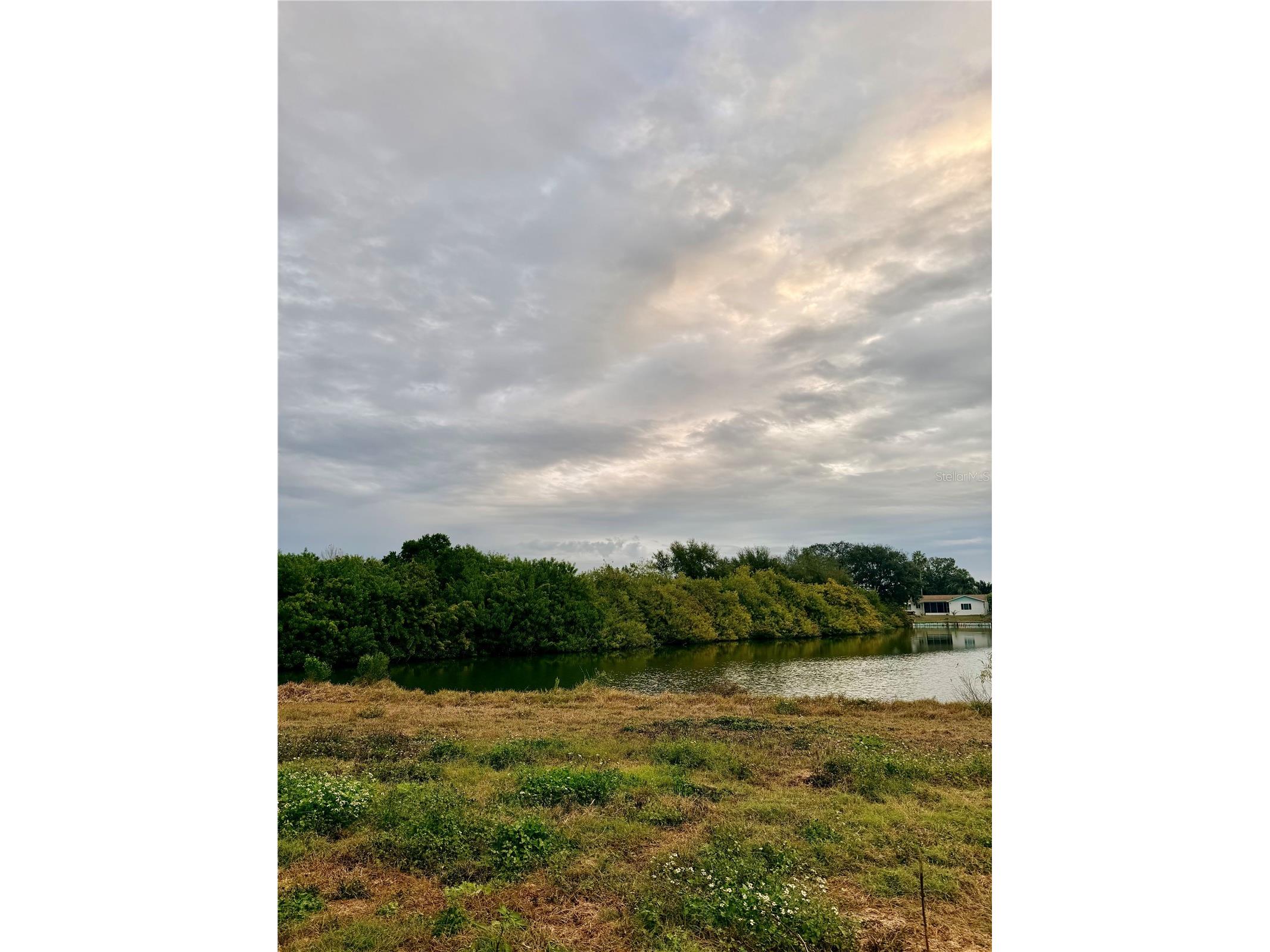 Lot 1511 Jackson Drive Holiday FL 34691 TB8465494 image2