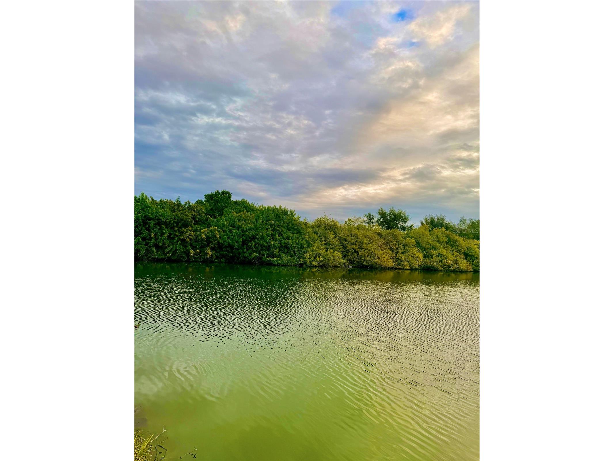 Lot 1511 Jackson Drive Holiday FL 34691 TB8465494 image9