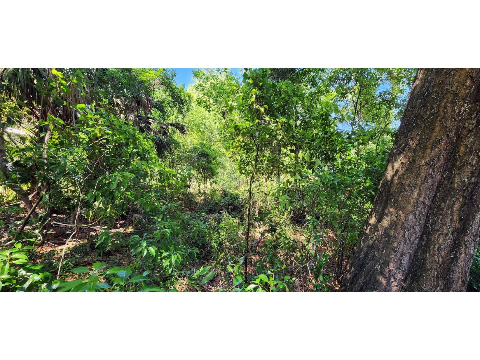 Lot 16 17 Quaker Ridge Avenue, Mount Plymouth, FL, 32776 MLS