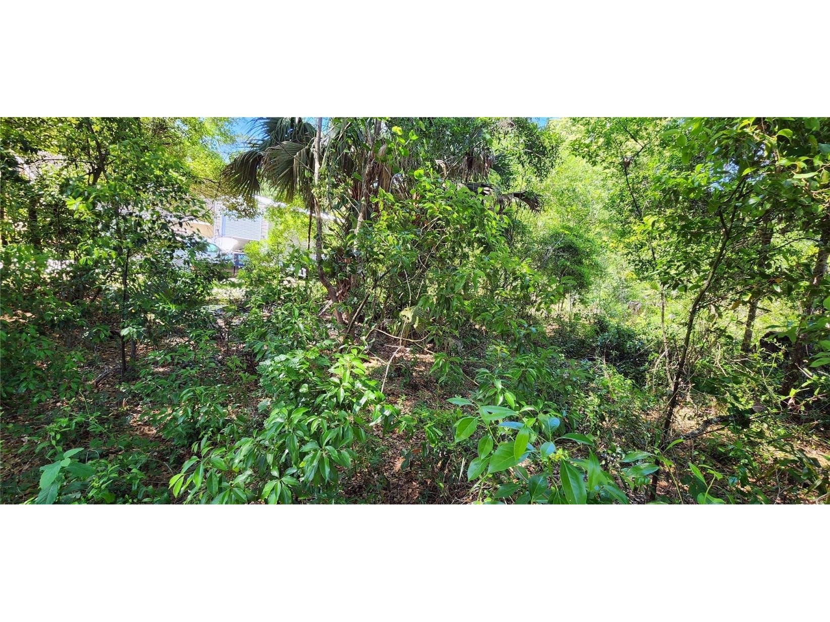 Lot 16 17 Quaker Ridge Avenue, Mount Plymouth, FL, 32776 MLS