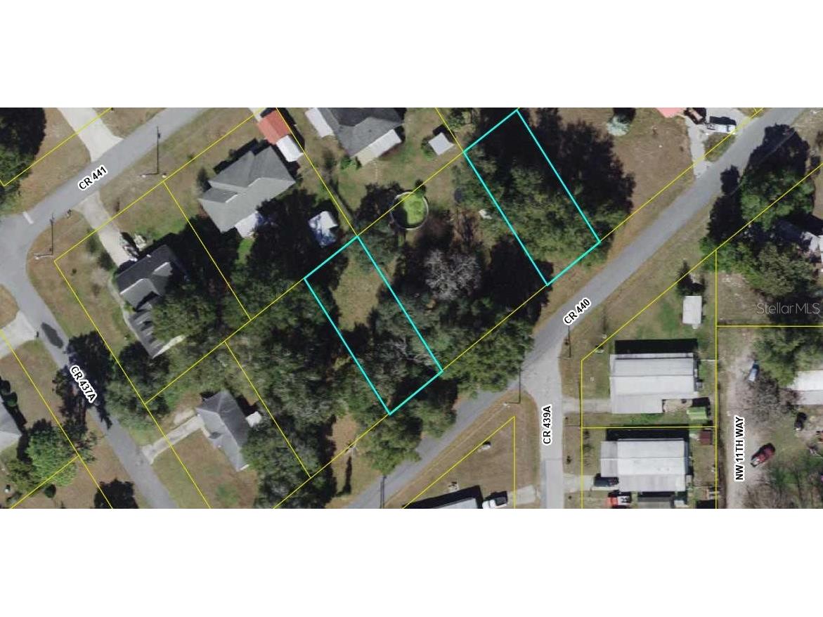 Lot 16 & 19 Cr 440 Lake Panasoffkee FL 33538 - LAKE PANASOFFKEE G5093584 image1