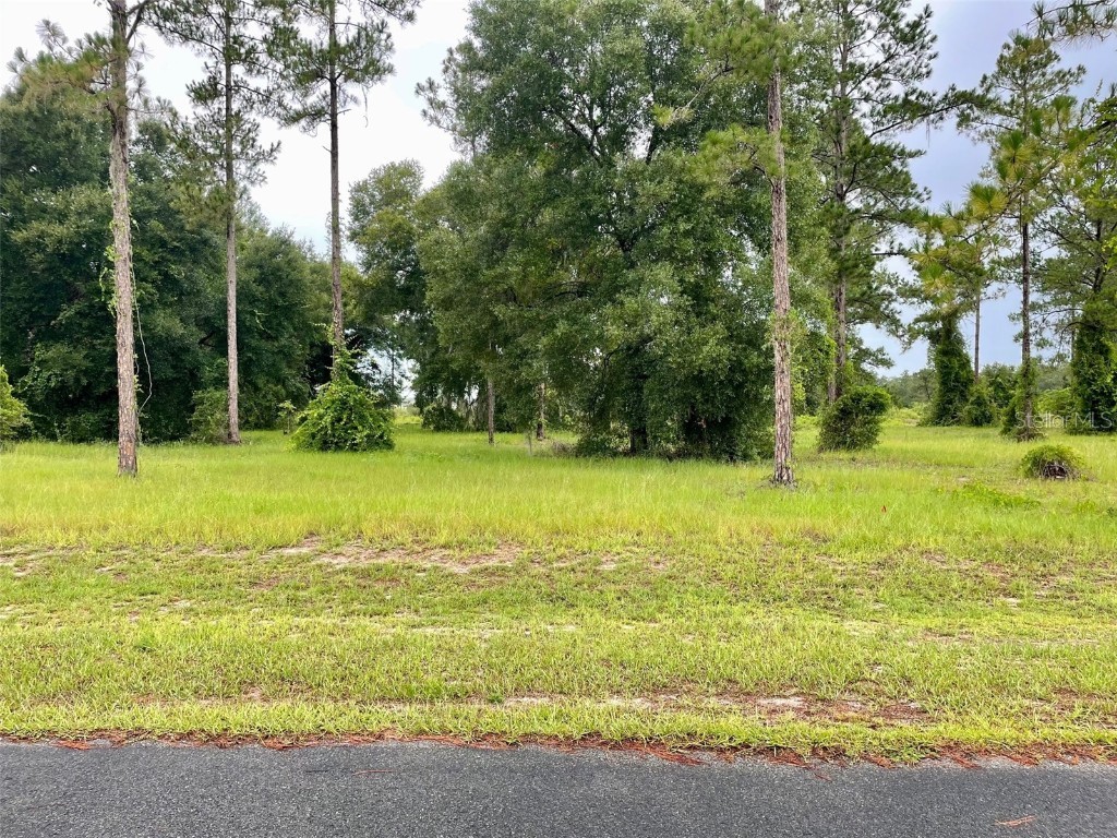 Lot 16 Bonsmara Drive Groveland FL 34736 - Clearwater Lake G5070892 image1