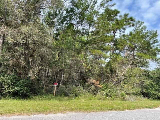 Lot 16 Chinaberry Street Eustis FL 32736 - LAKE NORRIS O6099599 image1