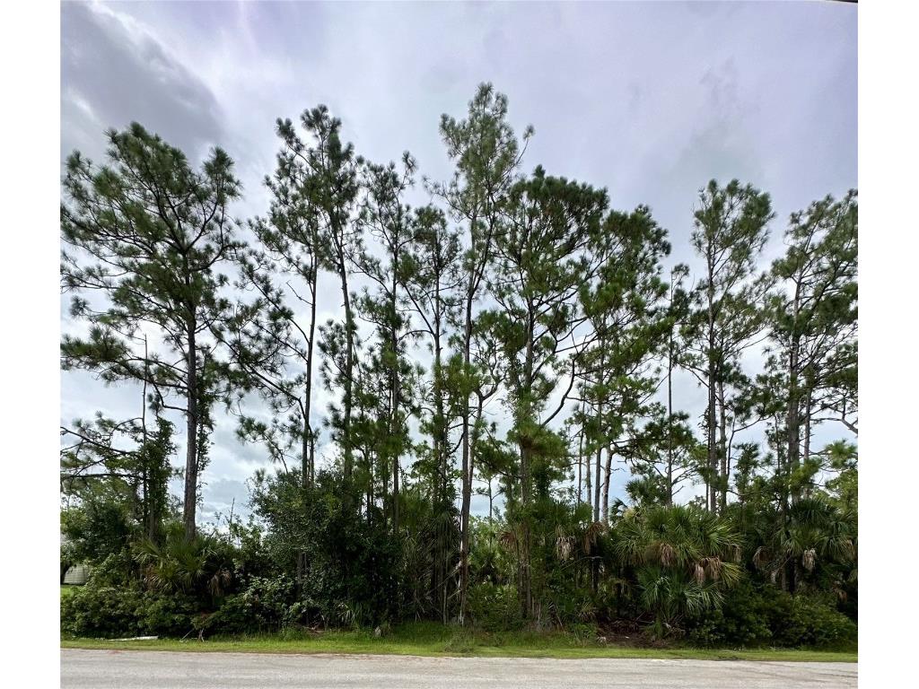Lot 16 Donatello Avenue North Port FL 34286 A4661601 image2