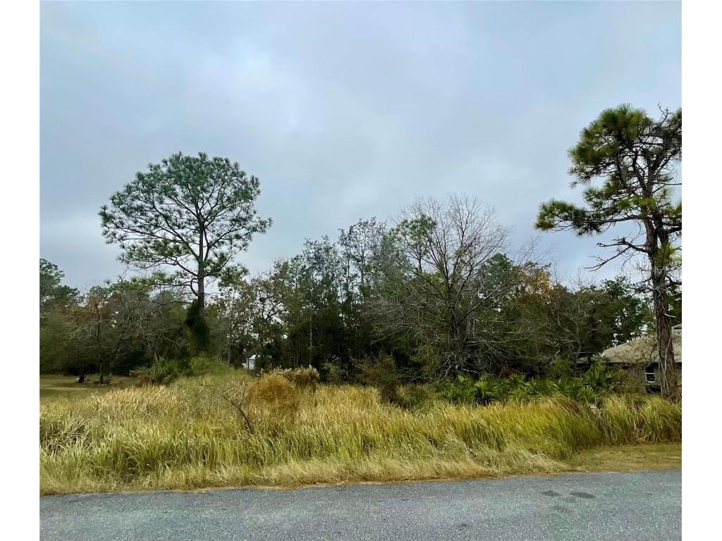 Lot 16 Golden Warbler Rd Weeki Wachee FL 34613 TB8430248 image1