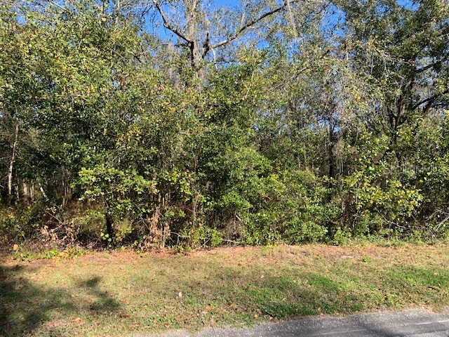 Lot 16 Lake Hills Drive Riverview FL 33569 T3350450 image1