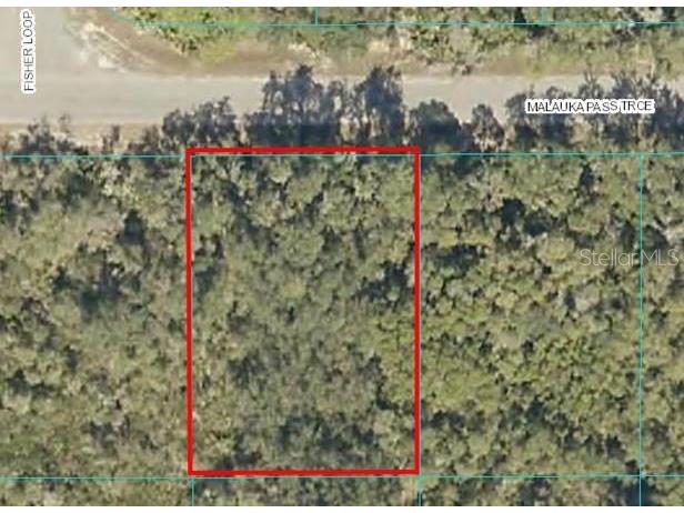 Lot 16 Malauka Pass Trace Ocklawaha FL 32179 OM650553 image1