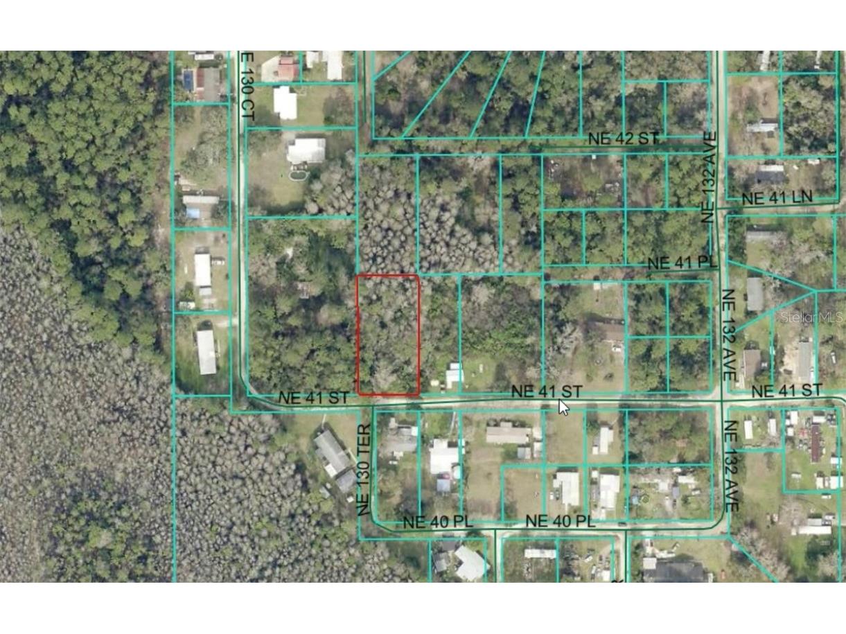 Lot 16 NE 41 Silver Springs FL 34488 OM711368 image1