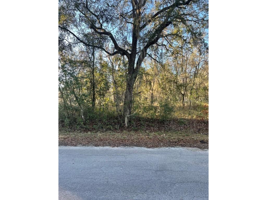 Lot 16 NW Shamrock Avenue Dunnellon FL 34431 OM654145 image1