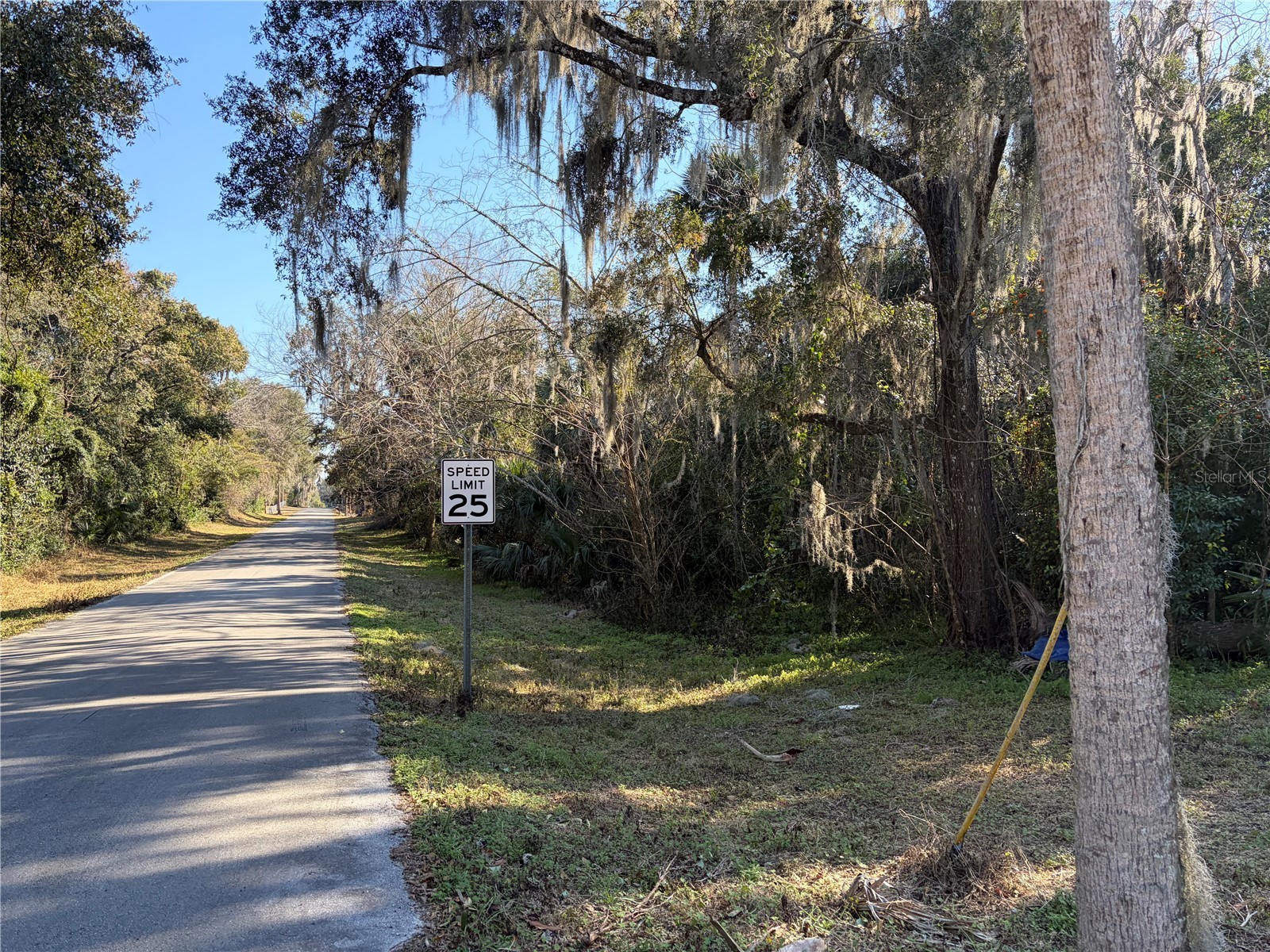 Lot 16 Quebec Avenue De Leon Springs FL 32130 V4947197 image4