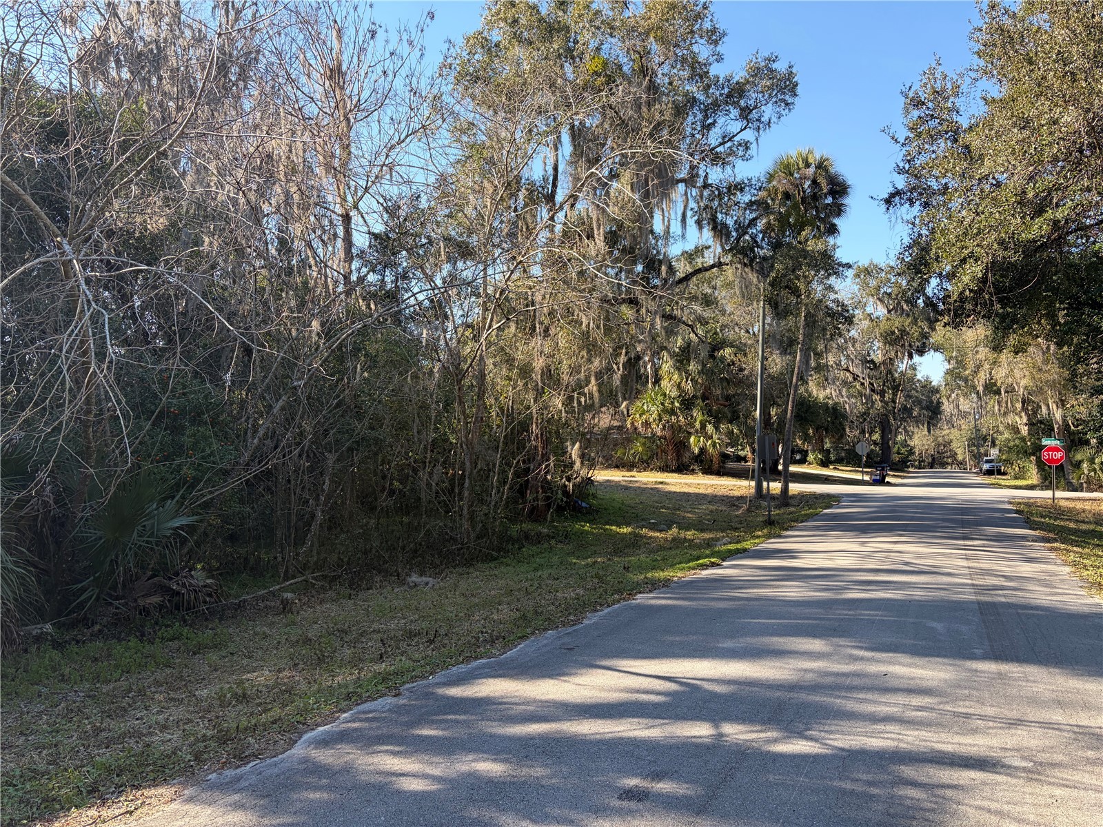 Lot 16 Quebec Avenue De Leon Springs FL 32130 V4947197 image5
