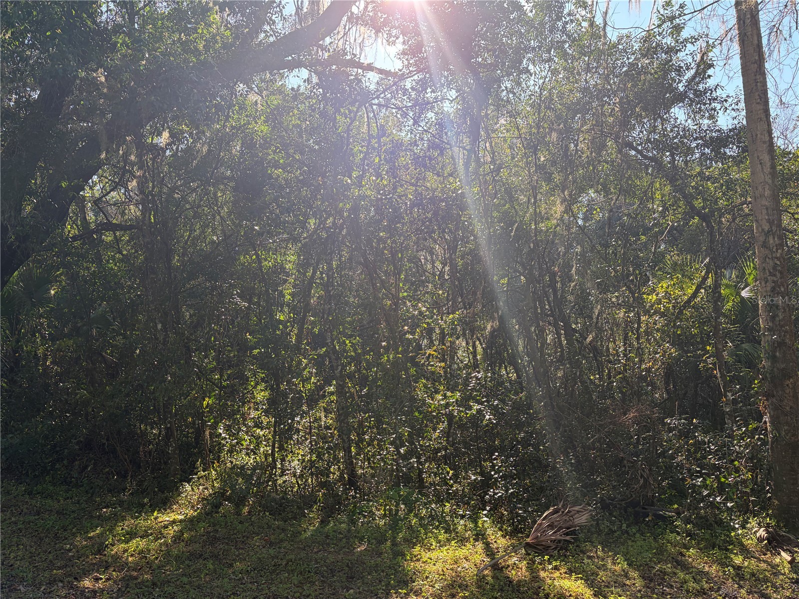 Lot 16 Quebec Avenue De Leon Springs FL 32130 V4947197 image6
