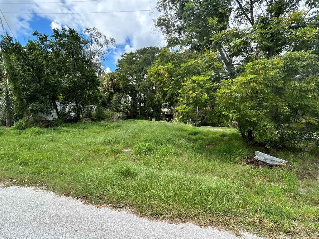 Lot 16 Riverrun Road New Port Richey FL 34655 - ANCLOTE RIVER W7878919 image1