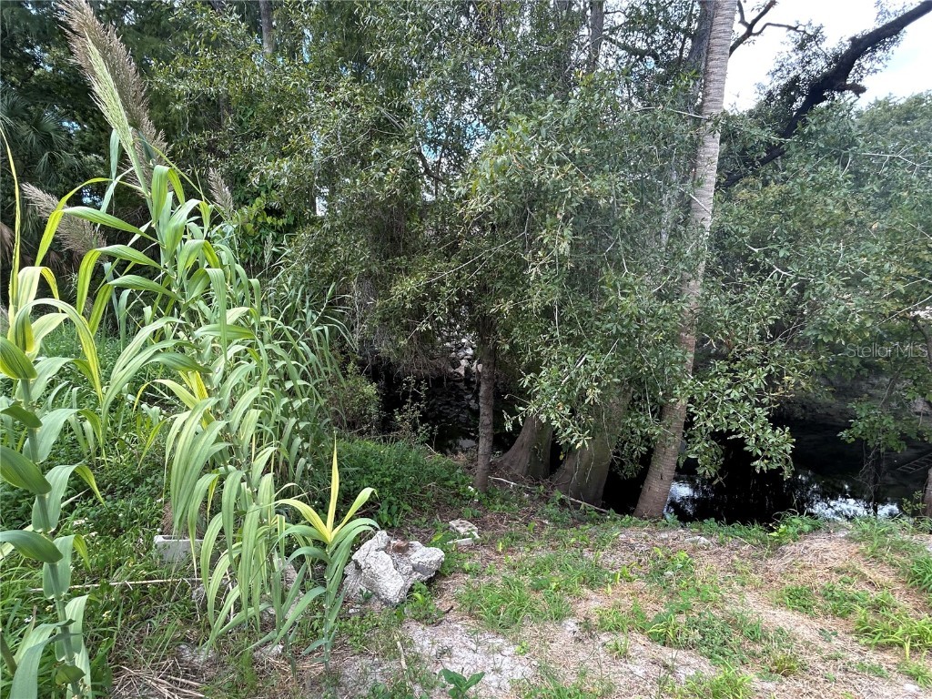 Lot 16 Riverrun Road New Port Richey FL 34655 - ANCLOTE RIVER W7878919 image3