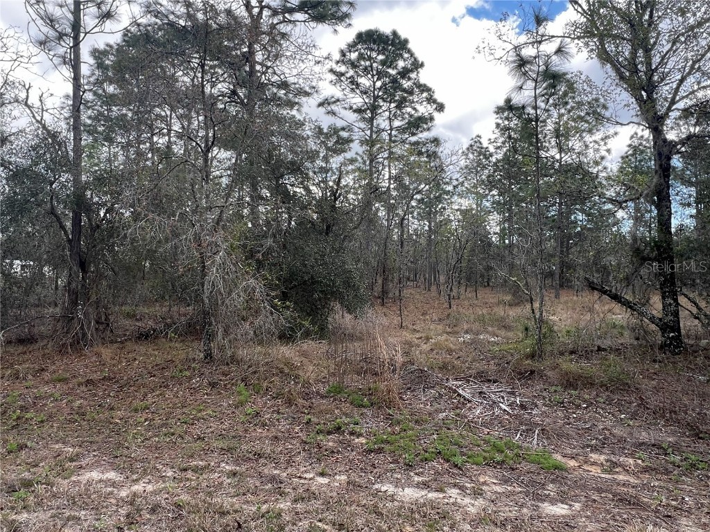 Lot 16 SE 136 Terrace Dunnellon FL 34431 OM696892 image1