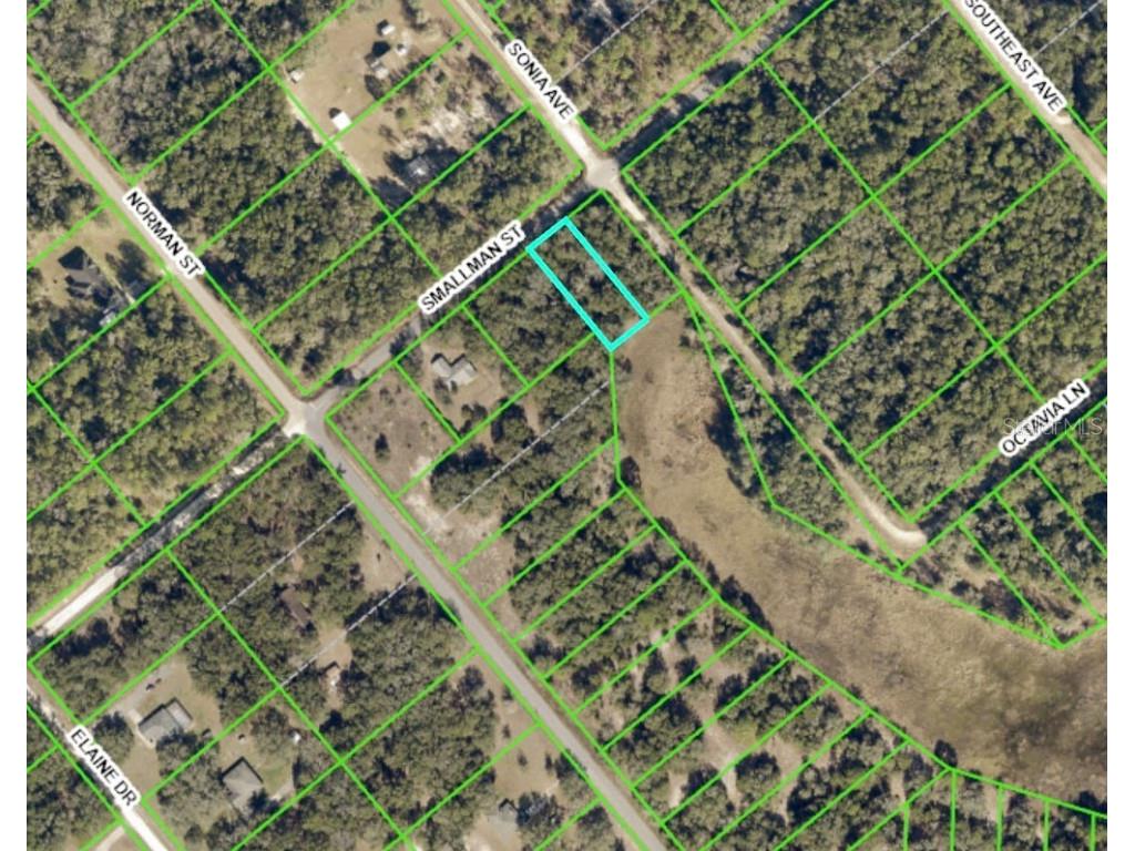 Lot 16 Smallman Street Webster FL 33597 C7467628 image1