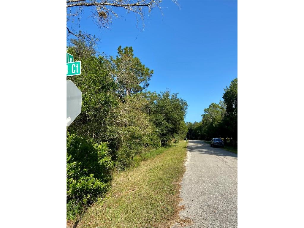 Lot 16 SW 86 Loop Dunnellon FL 34431 - RAINBOW RIVER OM666193 image1