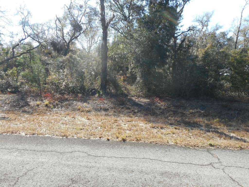Lot 16 SW Sailboat Drive Dunnellon FL 34431 OM692807 image1