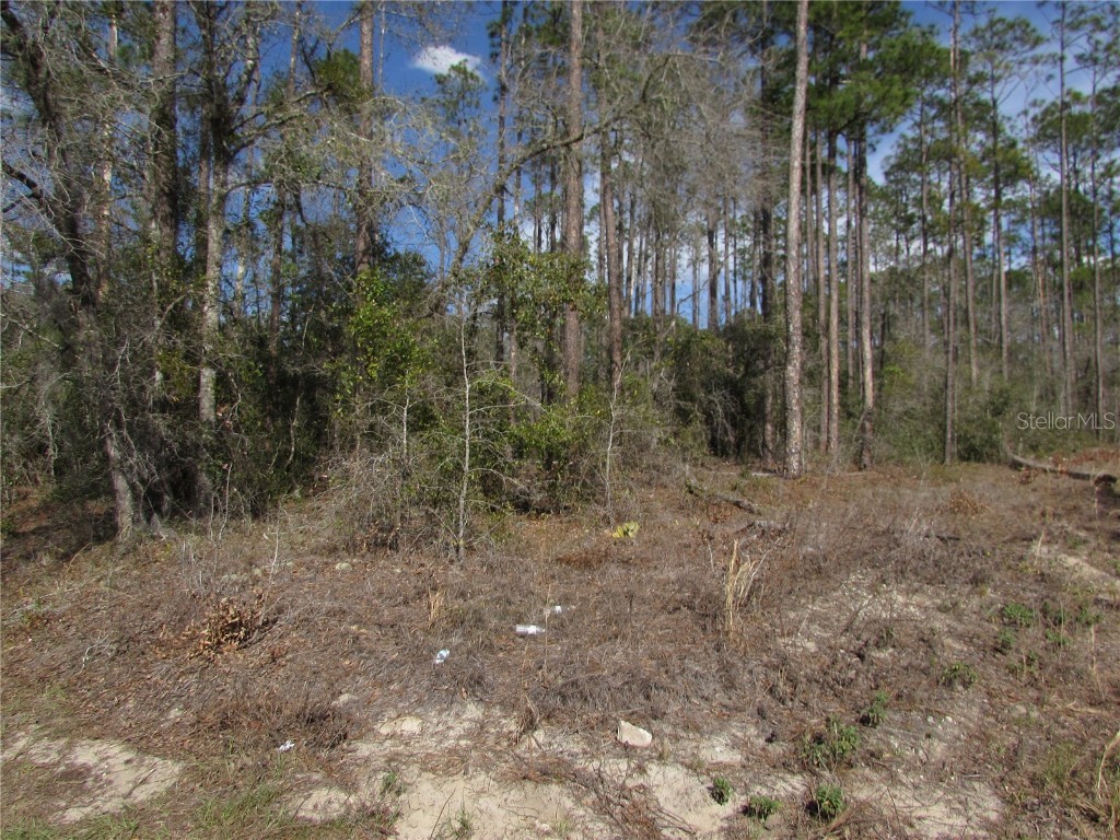 Lot 16 SW Westview Avenue Dunnellon FL 34431 OM695377 image1