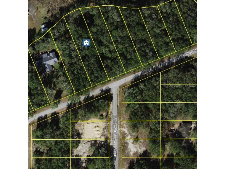 Lot 163 SW Shorewood Drive Dunnellon FL 34431 OM717619 image2