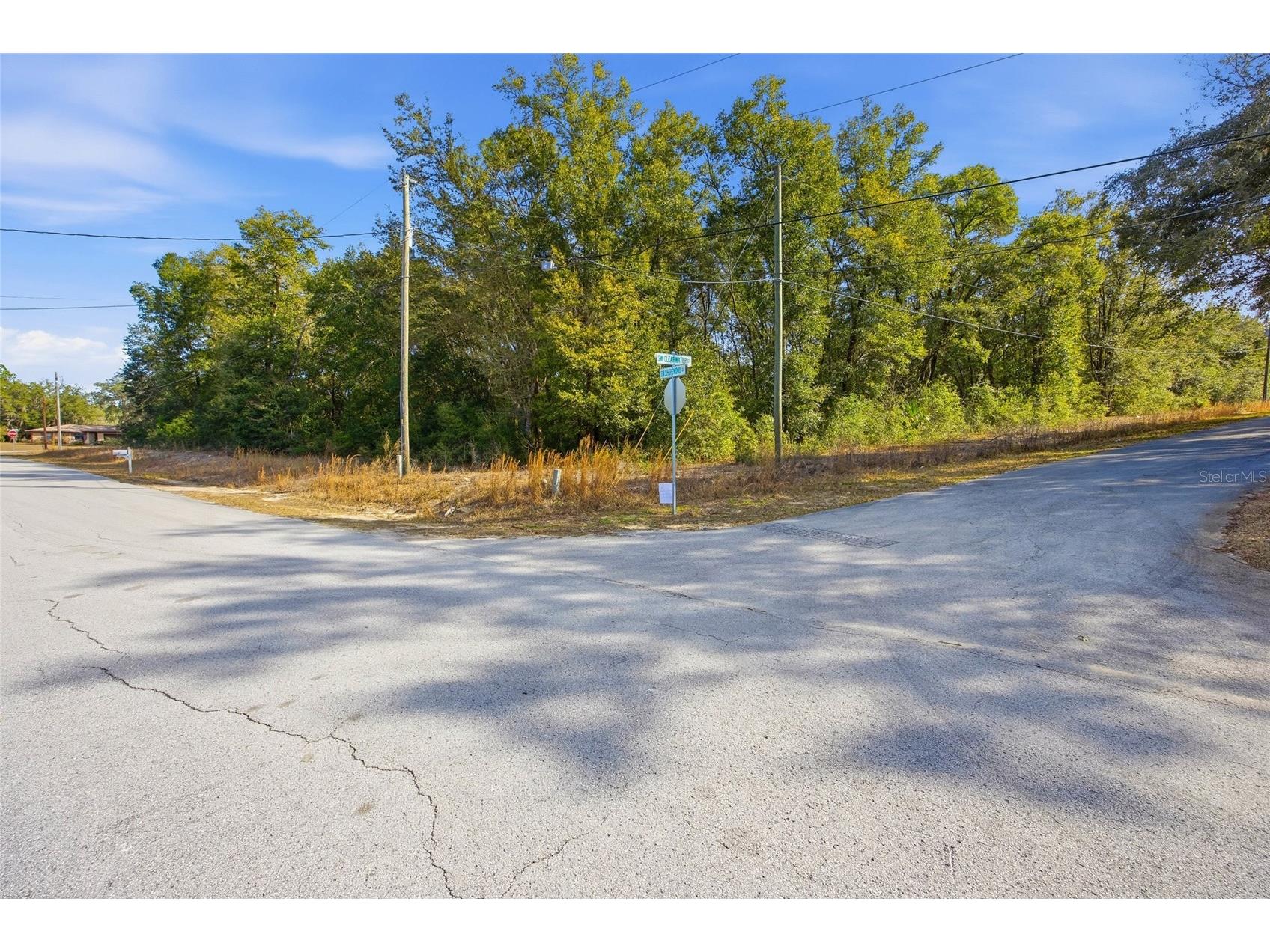 Lot 163 SW Shorewood Drive Dunnellon FL 34431 OM717619 image3