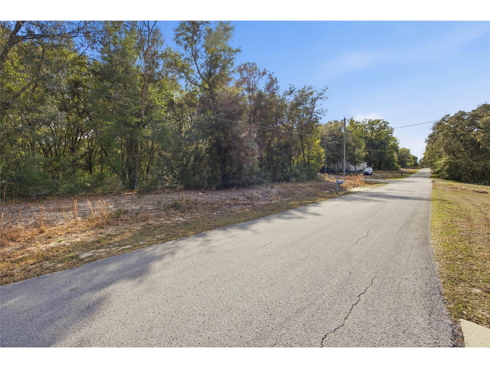 Lot 163 SW Shorewood Drive Dunnellon FL 34431 OM717619 image4
