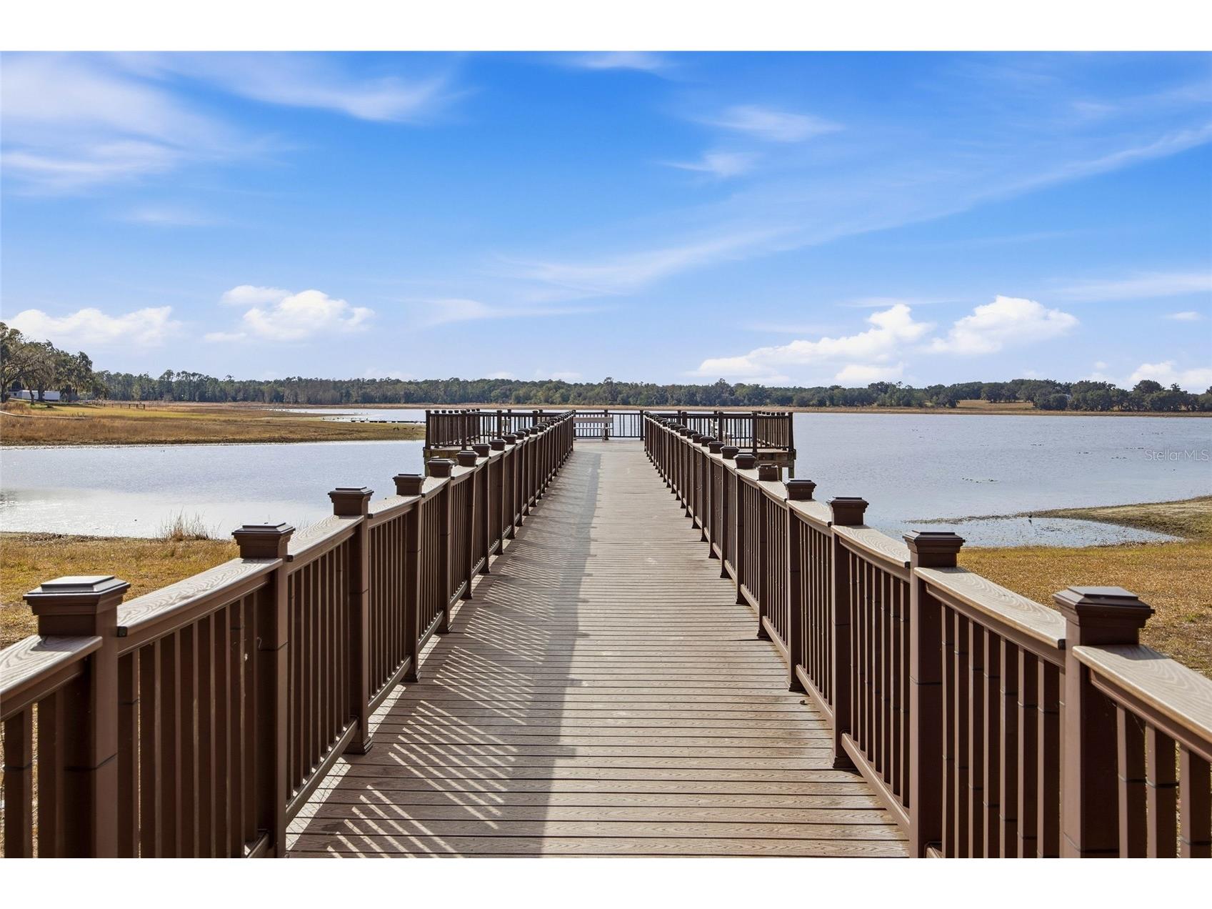 Lot 163 SW Shorewood Drive Dunnellon FL 34431 OM717619 image8