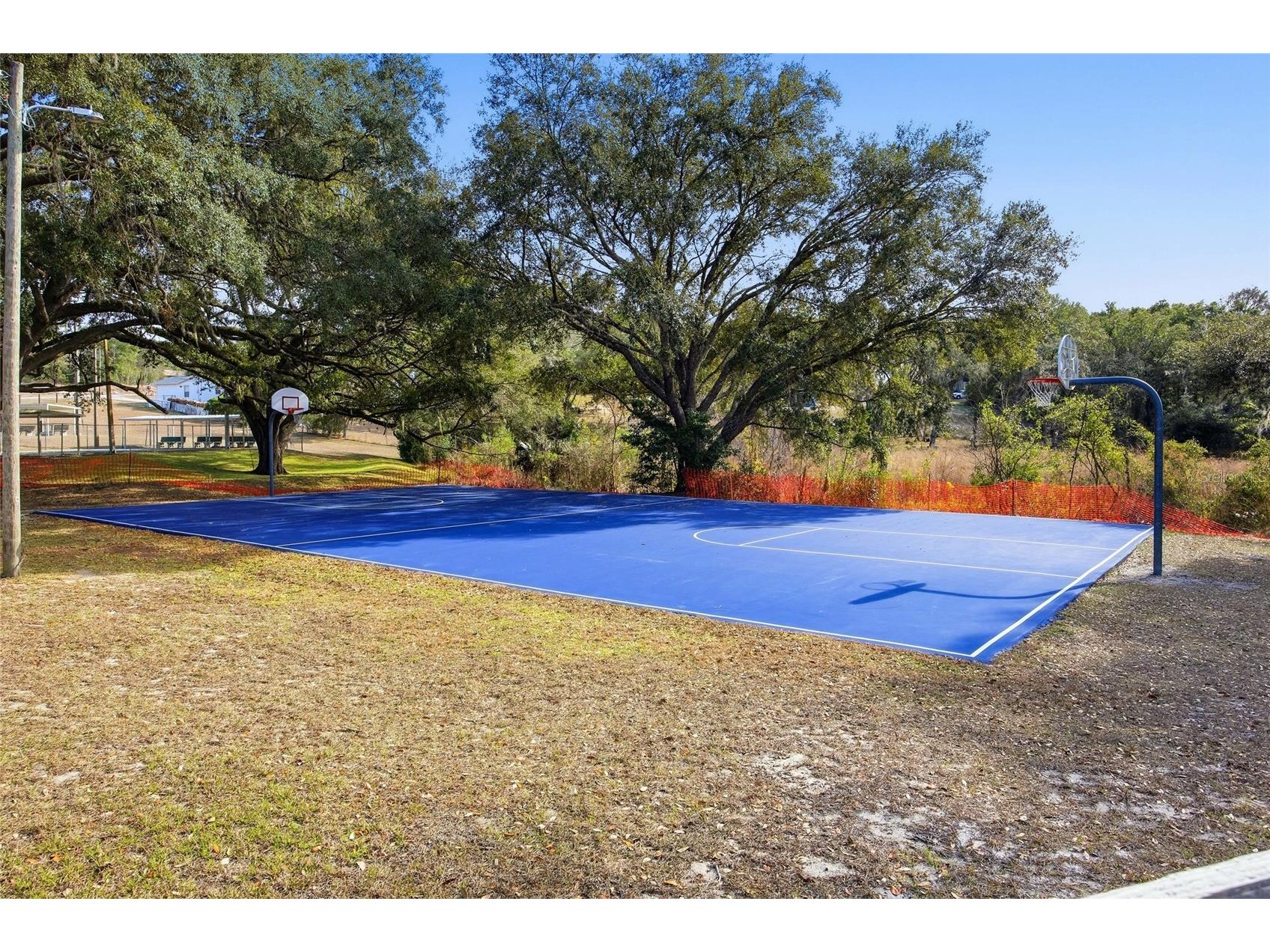Lot 163 SW Shorewood Drive Dunnellon FL 34431 OM717619 image9