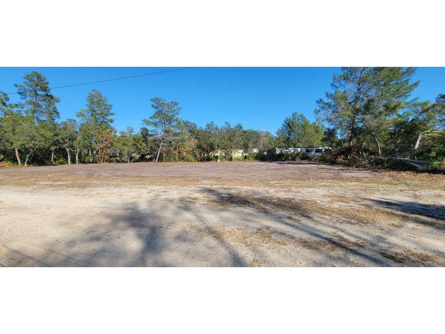 Lot 17-24 Palmetto Street Paisley FL 32767 O6243314 image1