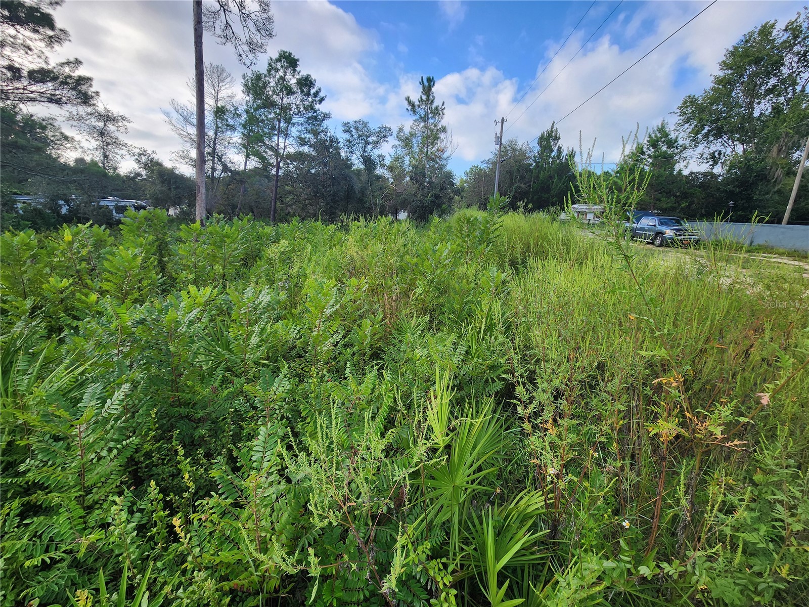 Lot 17-24 Palmetto Street Paisley FL 32767 O6243314 image10
