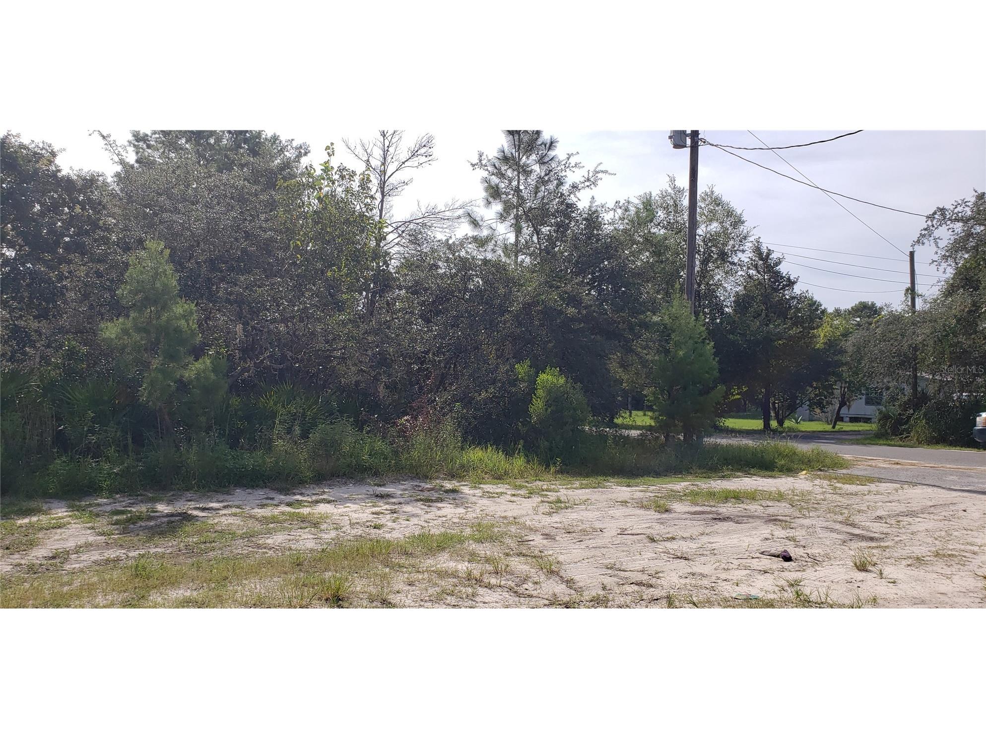 Lot 17-24 Palmetto Street Paisley FL 32767 O6243314 image13