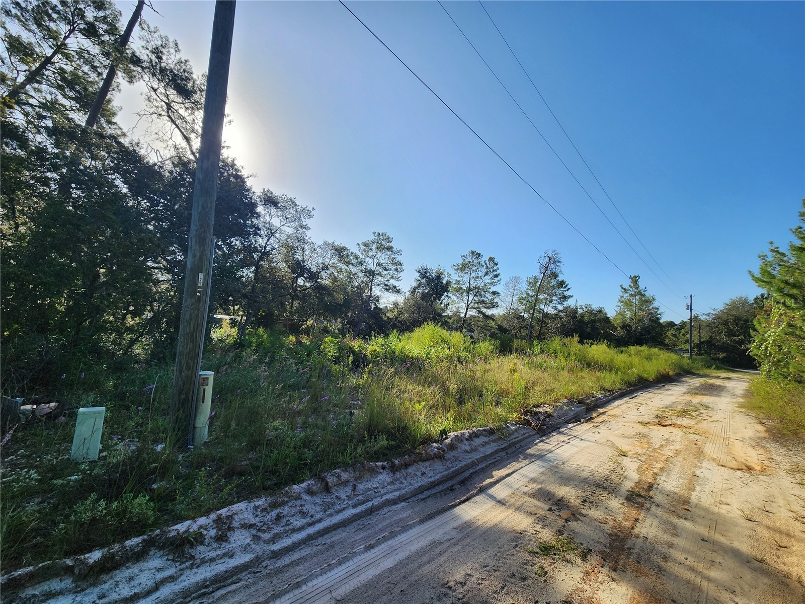 Lot 17-24 Palmetto Street Paisley FL 32767 O6243314 image15