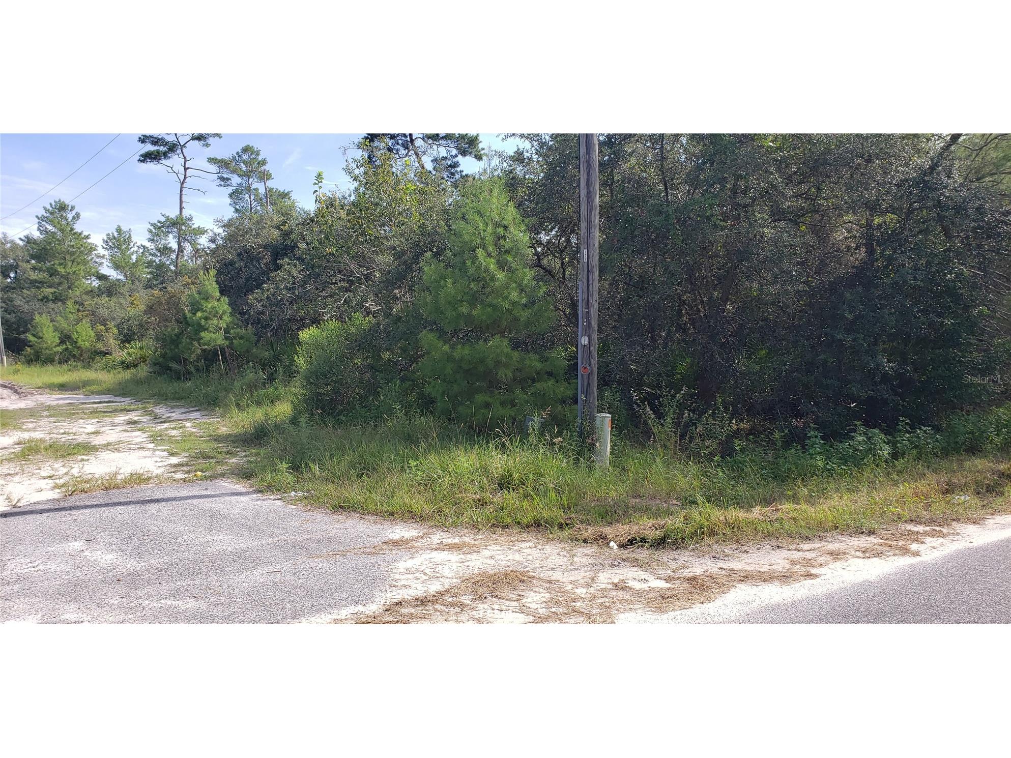 Lot 17-24 Palmetto Street Paisley FL 32767 O6243314 image18