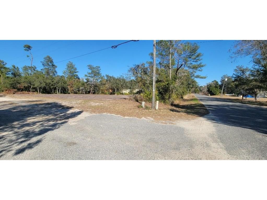 Lot 17-24 Palmetto Street Paisley FL 32767 O6243314 image2