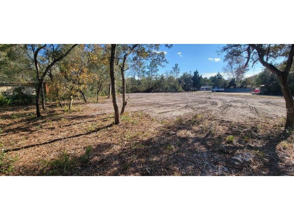 Lot 17-24 Palmetto Street Paisley FL 32767 O6243314 image3