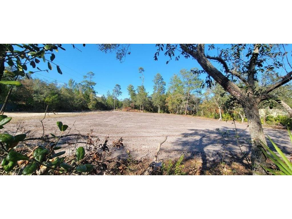 Lot 17-24 Palmetto Street Paisley FL 32767 O6243314 image5