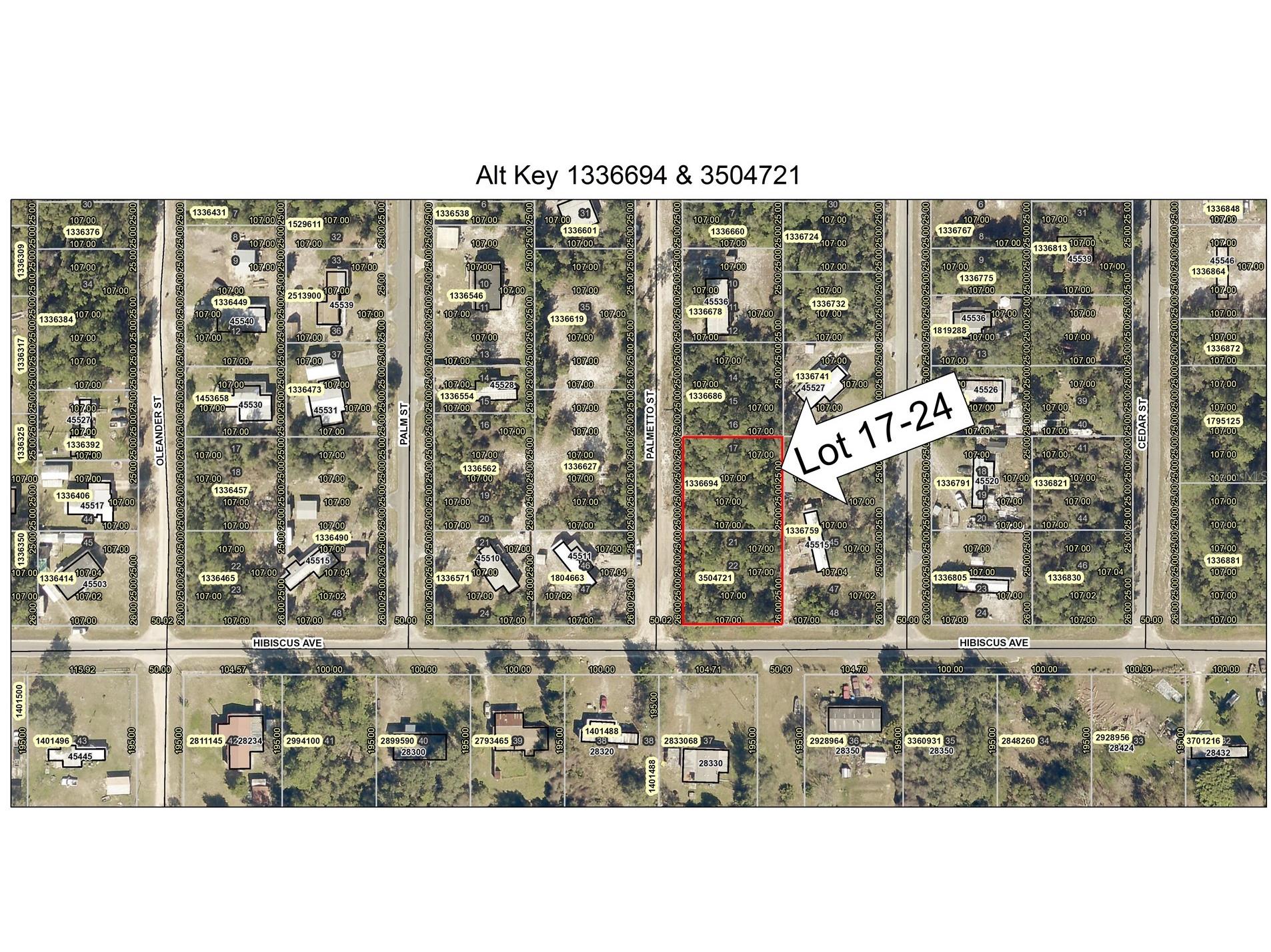 Lot 17-24 Palmetto Street Paisley FL 32767 O6243314 image6