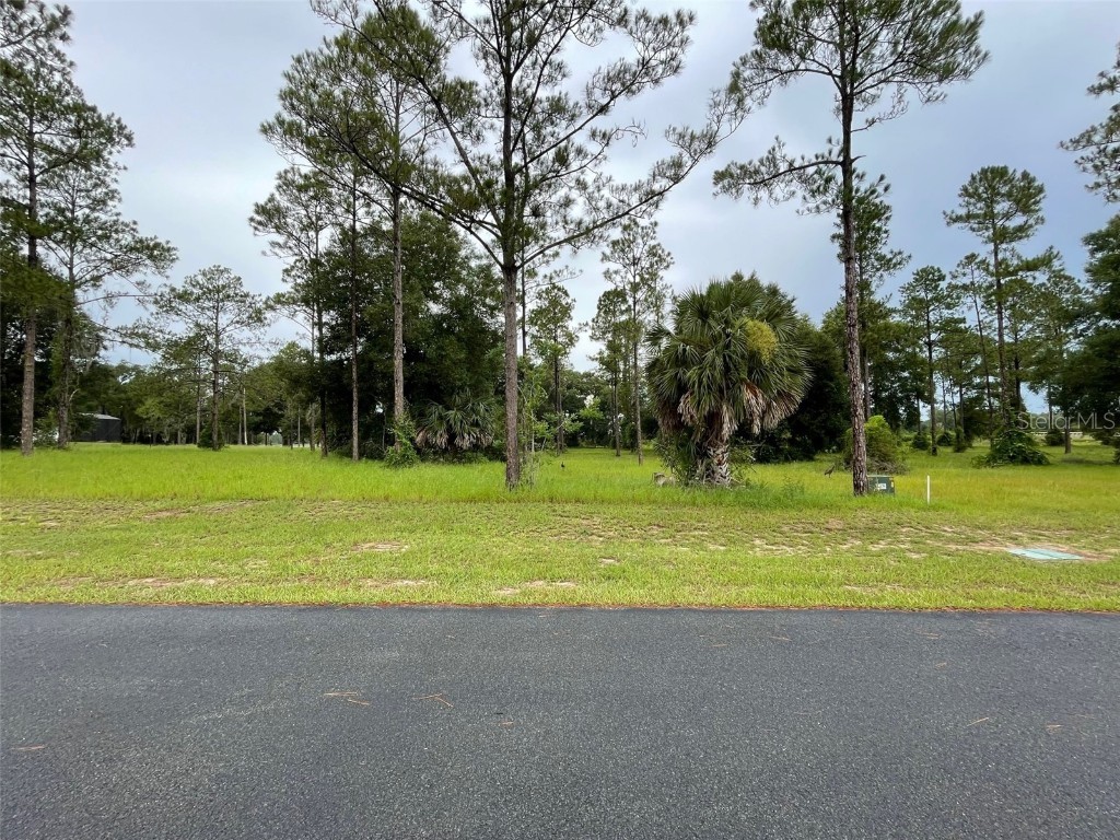 Lot 17 Bonsmara Drive Groveland FL 34736 - Clearwater Lake G5070874 image1
