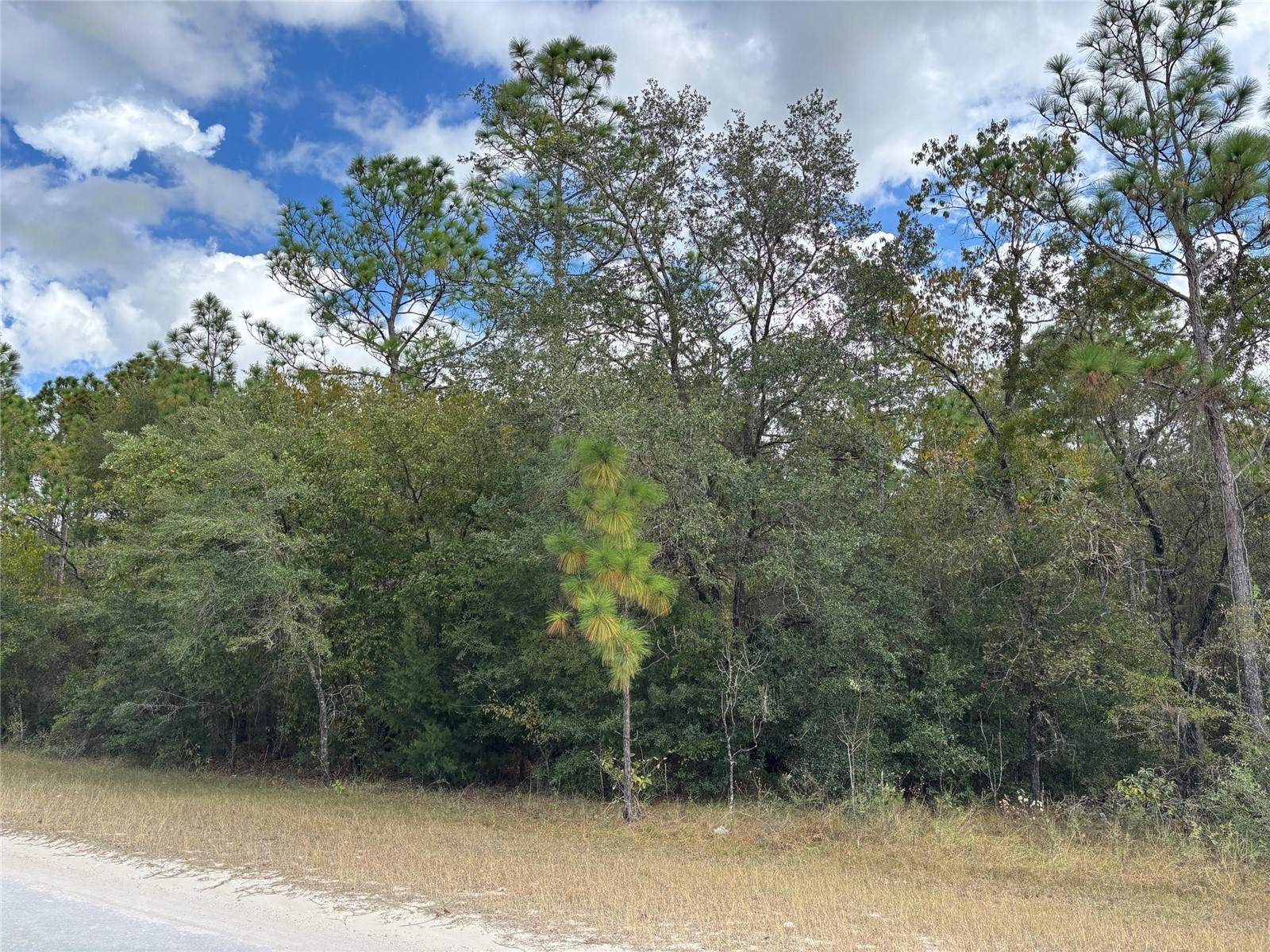 Lot 17 Canyon Swallow Road Weeki Wachee FL 34614 W7881620 image2