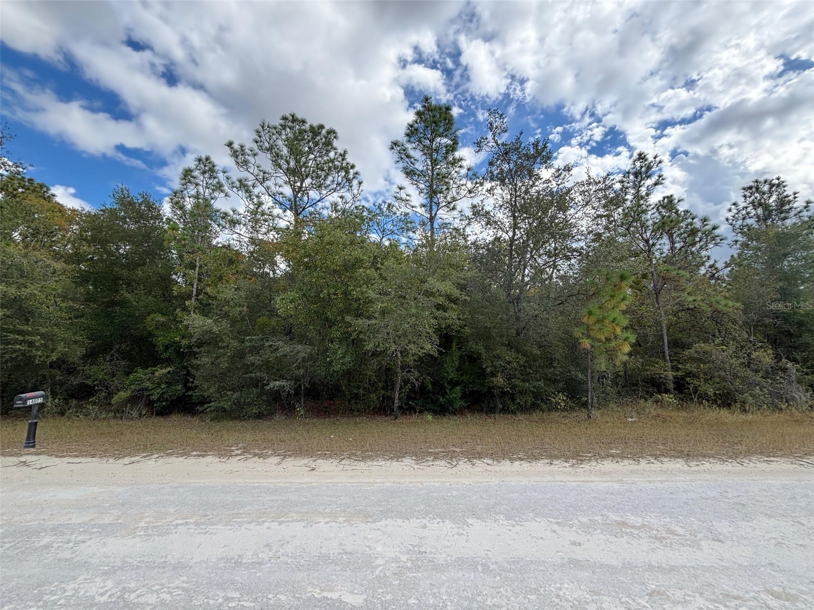 Lot 17 Canyon Swallow Road Weeki Wachee FL 34614 W7881620 image3