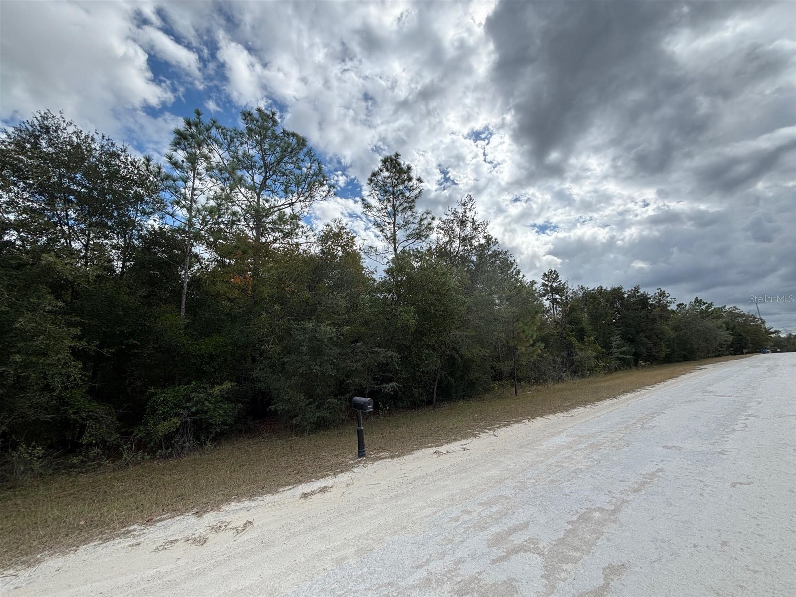 Lot 17 Canyon Swallow Road Weeki Wachee FL 34614 W7881620 image6